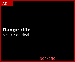Mockup of a 300 by 250 rectangle